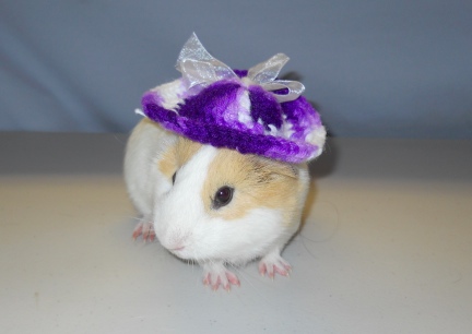 Damsel in her New Hat